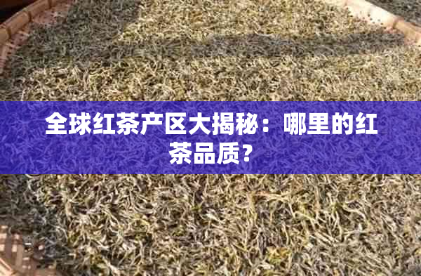 全球红茶产区大揭秘：哪里的红茶品质？