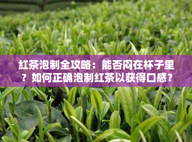 红茶泡制全攻略：能否闷在杯子里？如何正确泡制红茶以获得口感？