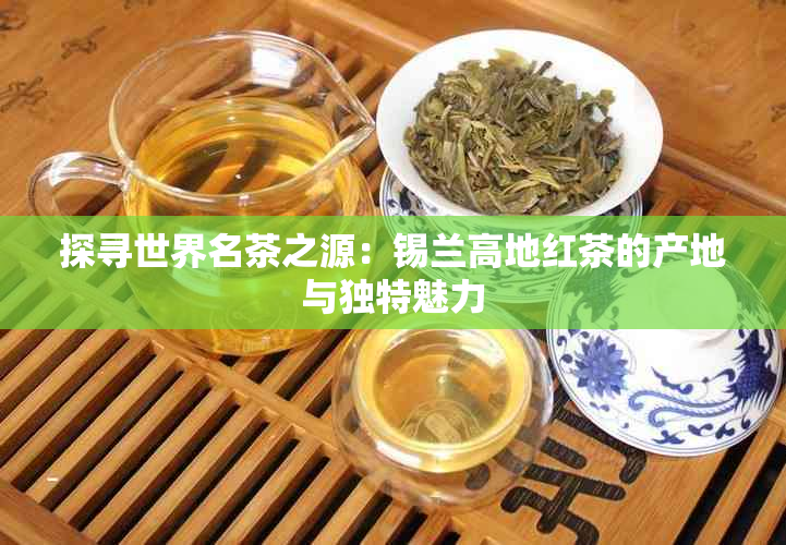 探寻世界名茶之源：锡兰高地红茶的产地与独特魅力