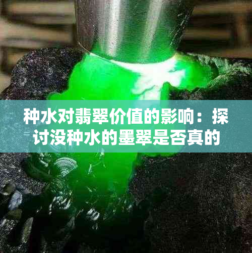 种水对翡翠价值的影响：探讨没种水的墨翠是否真的不值钱？