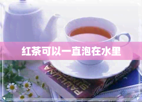 红茶可以一直泡在水里