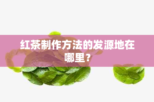 红茶制作方法的发源地在哪里？