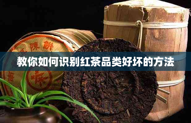 教你如何识别红茶品类好坏的方法