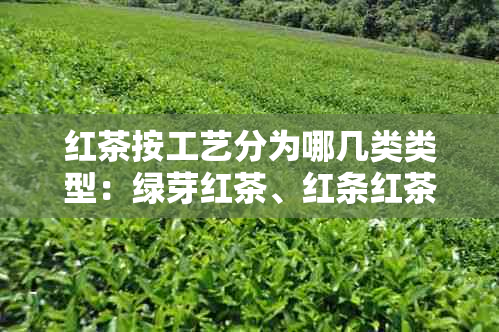 红茶按工艺分为哪几类类型：绿芽红茶、红条红茶、小种红茶。