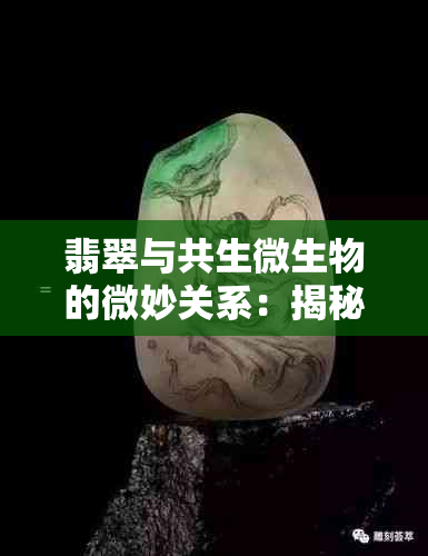 翡翠与共生微生物的微妙关系：揭秘石中的绿色奥秘