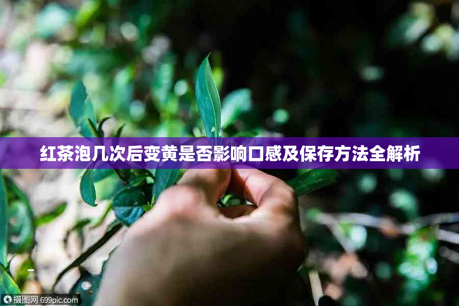 红茶泡几次后变黄是否影响口感及保存方法全解析