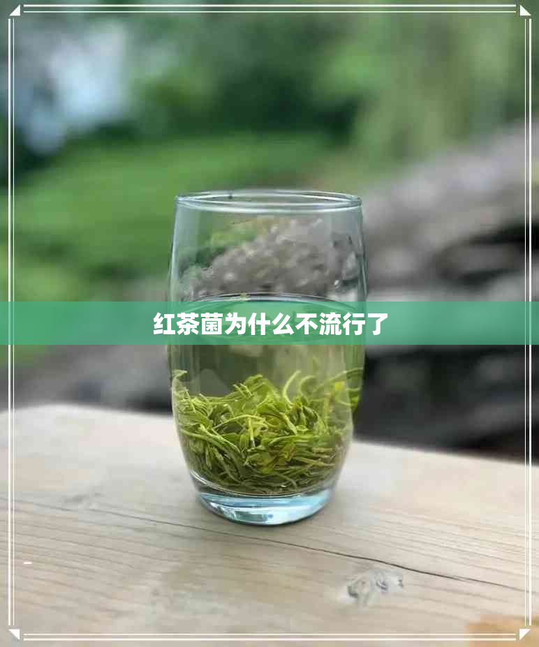 红茶菌为什么不流行了