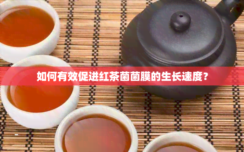 如何有效促进红茶菌菌膜的生长速度？