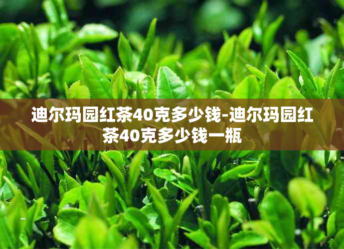 迪尔玛园红茶40克多少钱-迪尔玛园红茶40克多少钱一瓶