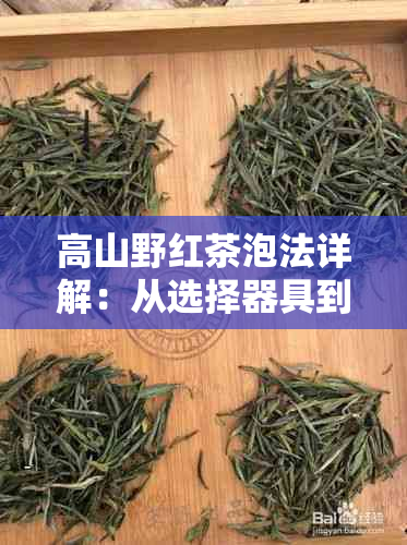 高山野红茶泡法详解：从选择器具到冲泡技巧，让你品尝到最美味的红茶