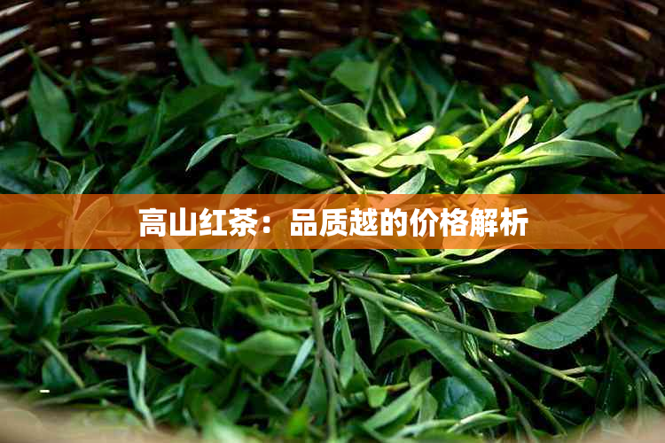 高山红茶：品质越的价格解析