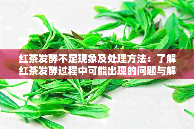 红茶发酵不足现象及处理方法：了解红茶发酵过程中可能出现的问题与解决策略