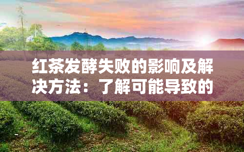 红茶发酵失败的影响及解决方法：了解可能导致的品质问题和改进策略