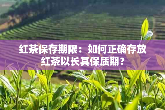 红茶保存期限：如何正确存放红茶以长其保质期？