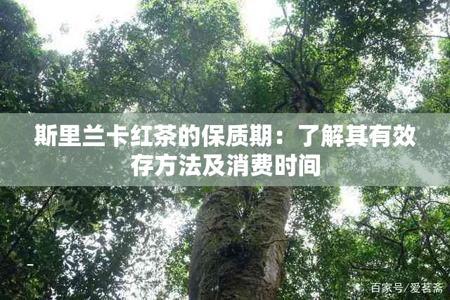 斯里兰卡红茶的保质期：了解其有效存方法及消费时间