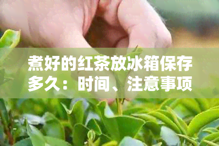 煮好的红茶放冰箱保存多久：时间、注意事项及是否可保存？