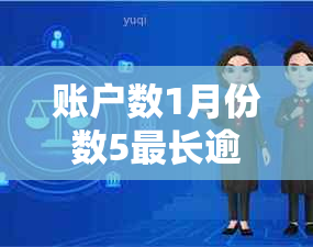 账户数1月份数5最长逾期1:解释与逾期次数的关系