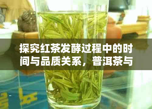 探究红茶发酵过程中的时间与品质关系，普洱茶与红茶有何异同？