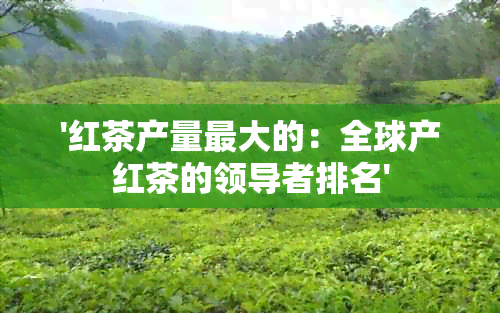 '红茶产量更大的：全球产红茶的领导者排名'