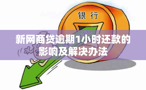 新网商贷逾期1小时还款的影响及解决办法