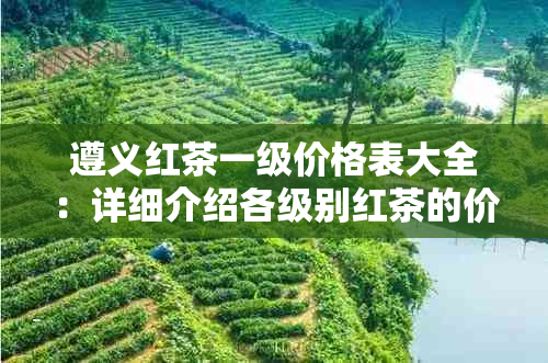 遵义红茶一级价格表大全：详细介绍各级别红茶的价格及特点