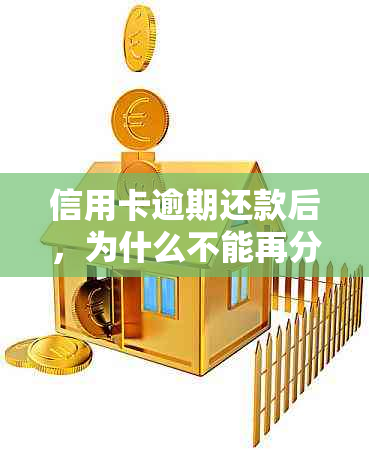 信用卡逾期还款后，为什么不能再分期？原因揭秘