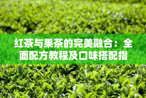 红茶与果茶的完美融合：全面配方教程及口味搭配指南