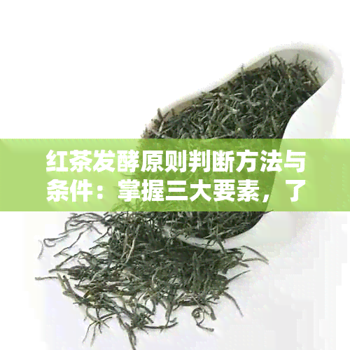 红茶发酵原则判断方法与条件：掌握三大要素，了解红茶的发酵过程