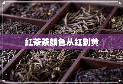 红茶茶颜色从红到黄