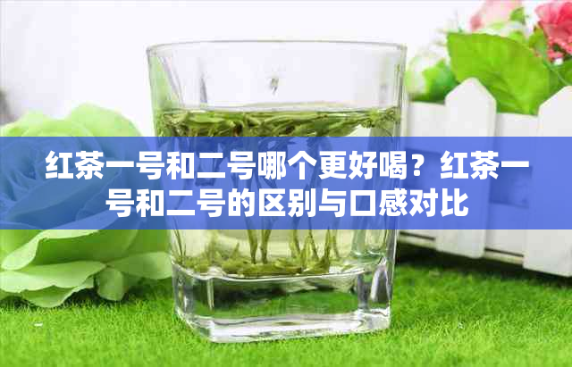 红茶一号和二号哪个更好喝？红茶一号和二号的区别与口感对比