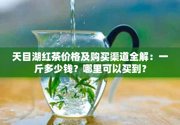 天目湖红茶价格及购买渠道全解：一斤多少钱？哪里可以买到？