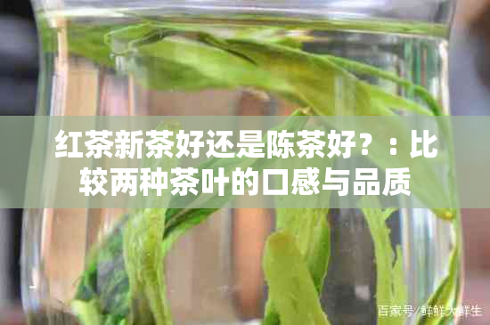 红茶新茶好还是陈茶好？: 比较两种茶叶的口感与品质