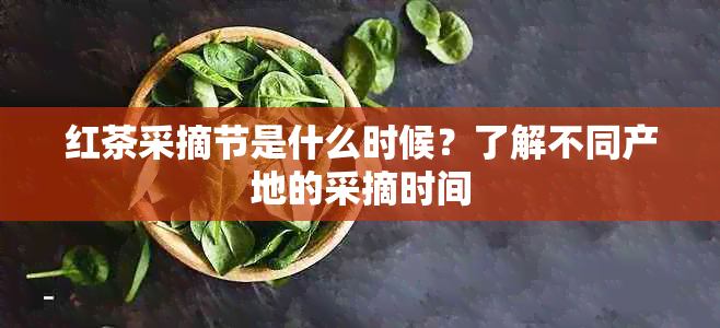 红茶采摘节是什么时候？了解不同产地的采摘时间