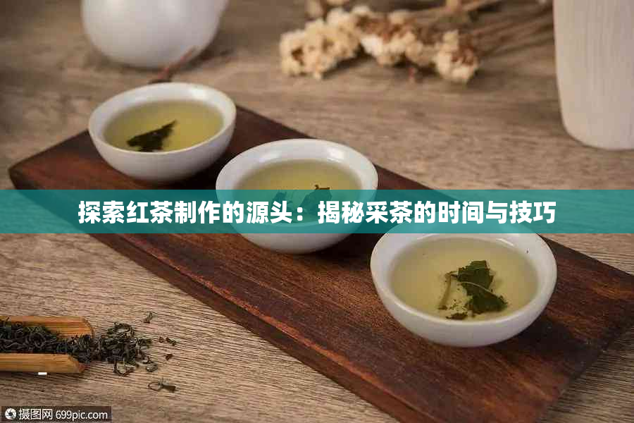 探索红茶制作的源头：揭秘采茶的时间与技巧