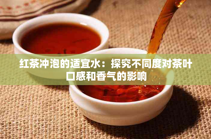 红茶冲泡的适宜水：探究不同度对茶叶口感和香气的影响