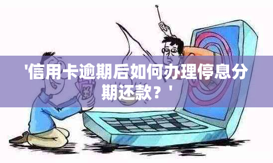 '信用卡逾期后如何办理停息分期还款？'