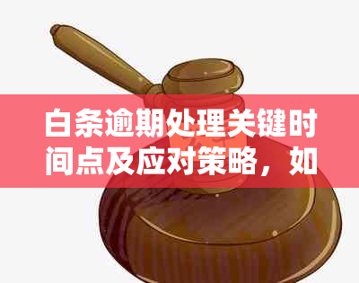 白条逾期处理关键时间点及应对策略，如何避免逾期影响信用？