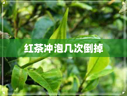 红茶冲泡几次倒掉