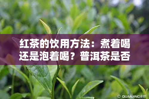 红茶的饮用方法：煮着喝还是泡着喝？普洱茶是否也适用？