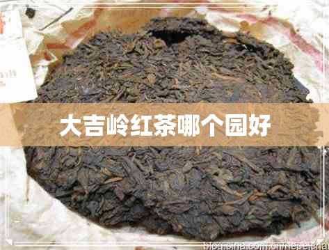 大吉岭红茶哪个园好