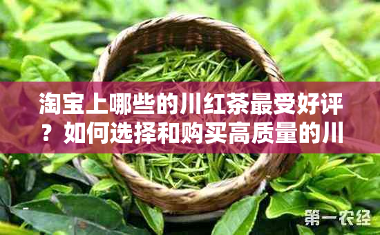 淘宝上哪些的川红茶最受好评？如何选择和购买高质量的川红茶？