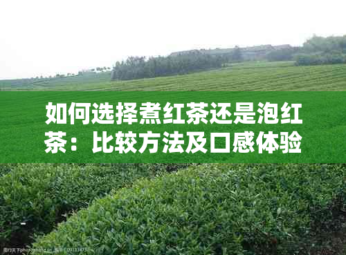 如何选择煮红茶还是泡红茶：比较方法及口感体验，让你轻松掌握饮用方式