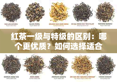 红茶一级与特级的区别：哪个更优质？如何选择适合自己的红茶？