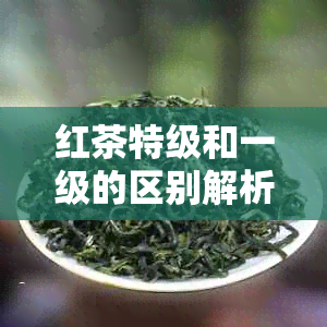 红茶特级和一级的区别解析：哪个更好？