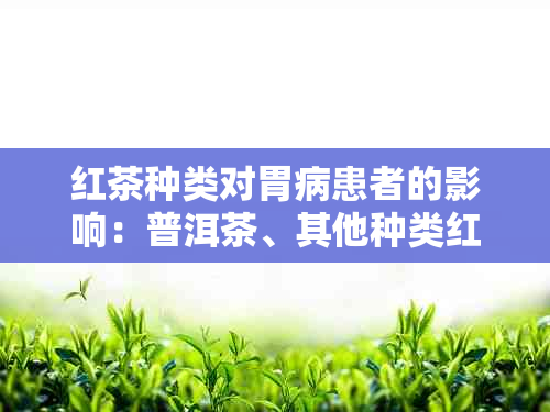 红茶种类对胃病患者的影响：普洱茶、其他种类红茶的对比分析