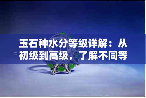 玉石种水分等级详解：从初级到高级，了解不同等级水分对玉石品质的影响