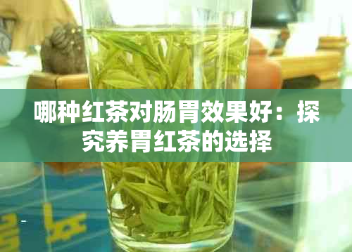 哪种红茶对肠胃效果好：探究养胃红茶的选择