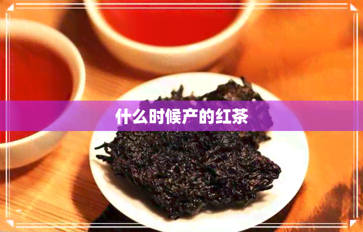 什么时候产的红茶