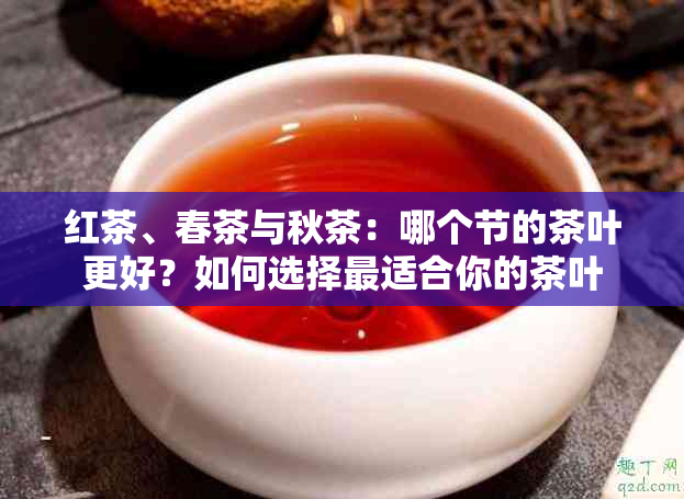 红茶、春茶与秋茶：哪个节的茶叶更好？如何选择最适合你的茶叶