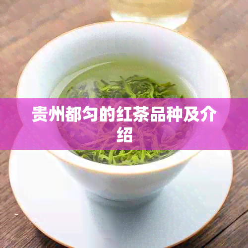 贵州都匀的红茶品种及介绍